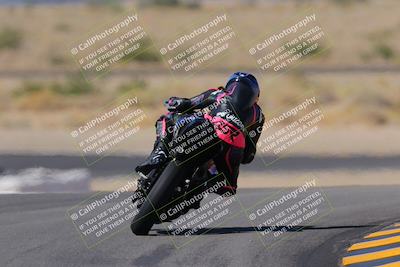 media/Oct-08-2022-SoCal Trackdays (Sat) [[1fc3beec89]]/Turn 11 Backside (1145am)/